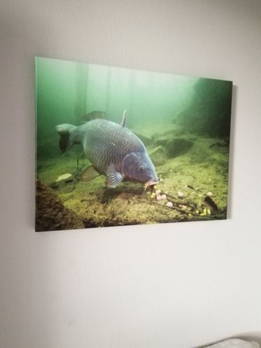 Bild #1 von Jens T.