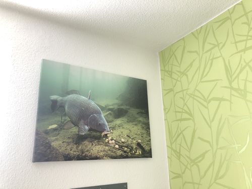 Bild #1 von Robert H.