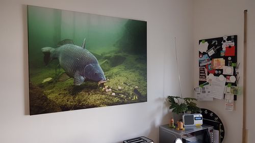 Bild #1 von Jens B.