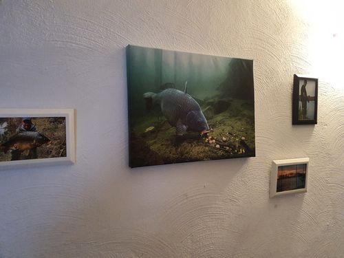 Bild #1 von Rene H.