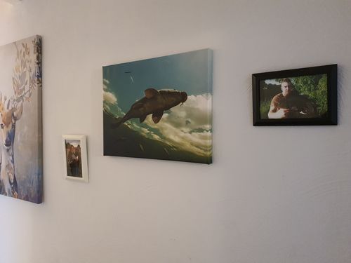 Bild #1 von Rene H.