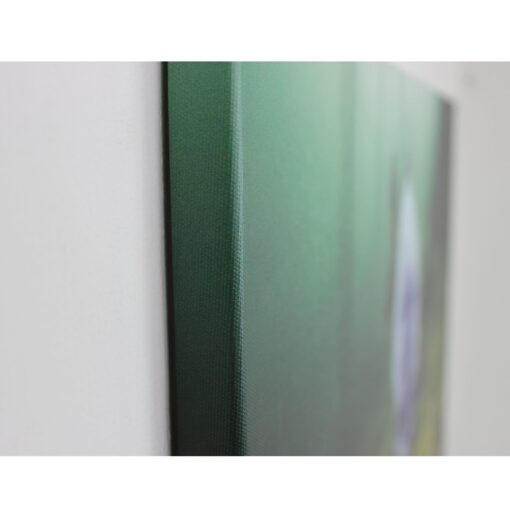 Deine Leinwand – Bild 6