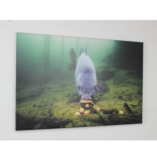 Deine Leinwand – Bild 5