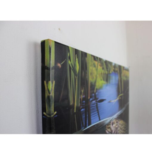 Leinwand - Pike Underwater – Bild 3