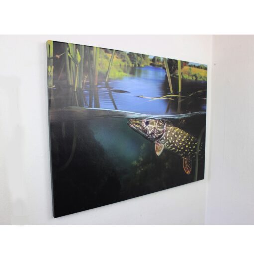 Leinwand - Pike Underwater – Bild 4