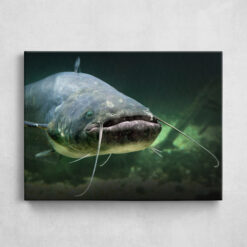 Leinwand - Big Catfish