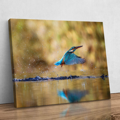 Leinwand - Eisvogel – Bild 4