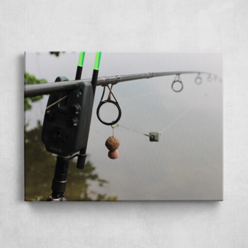Leinwand - Fishy Rig
