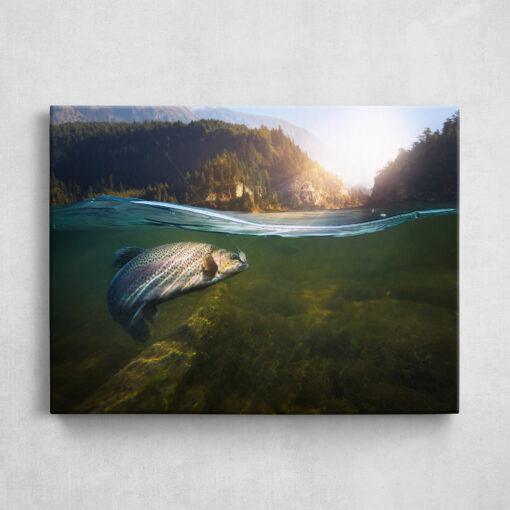 Leinwand - Forelle Sunshine