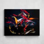 Leinwand - Koi Farbenspiel