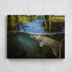 Leinwand - Pike Underwater