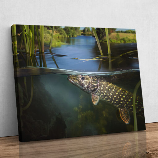 Leinwand - Pike Underwater – Bild 7