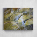 Leinwand - Spieglein - Carp
