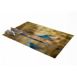 Eisvogel Teppich